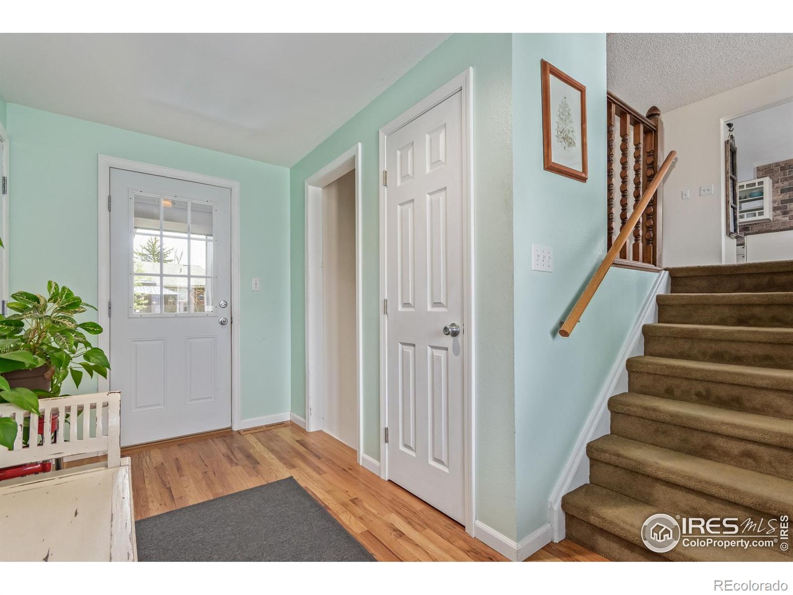 1313  Garden Circle, longmont  House Search MLS Picture