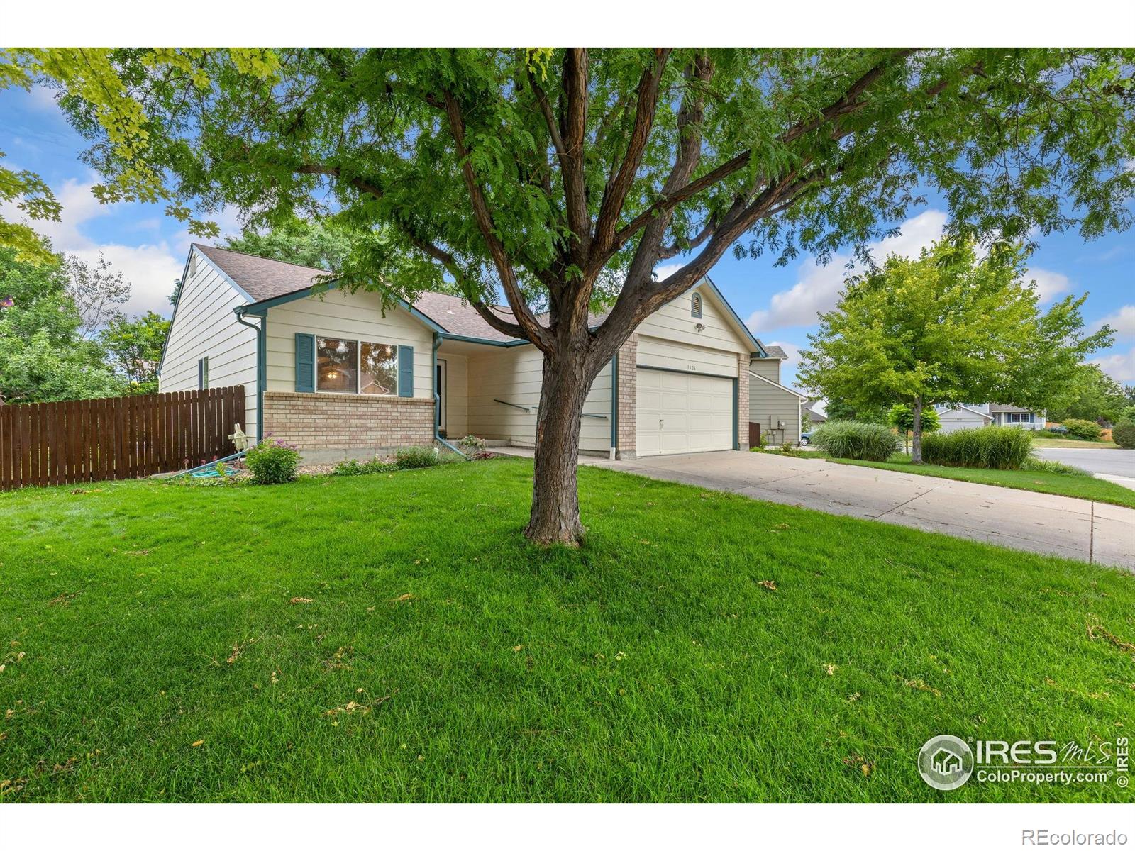 1326  Cedarwood Drive, longmont  House Search MLS Picture