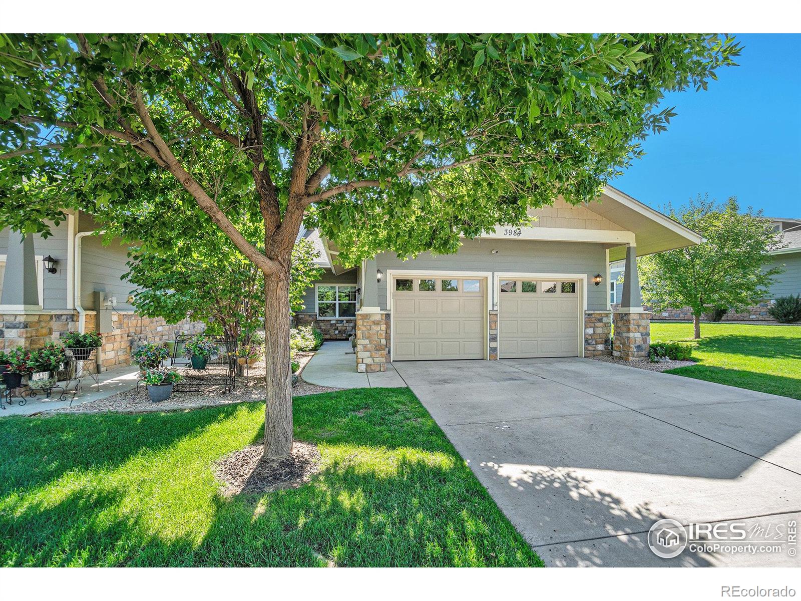 3984  Avenida del Sol Drive, loveland  House Search MLS Picture