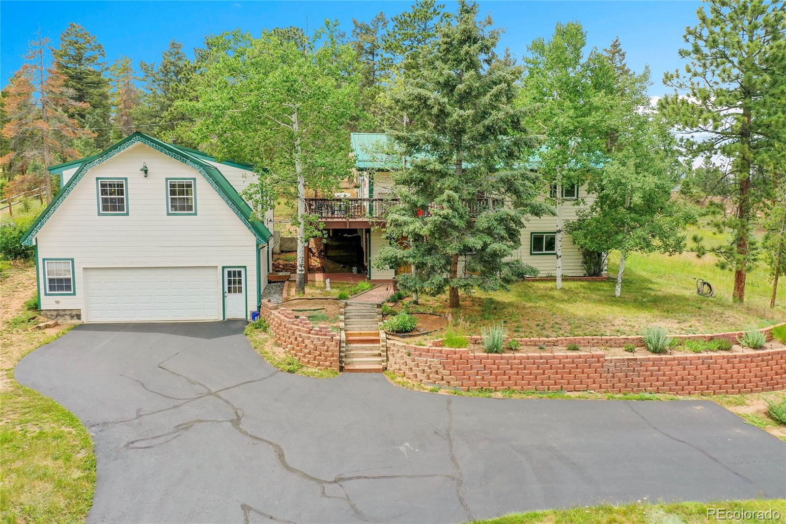 conifer  House Search Picture