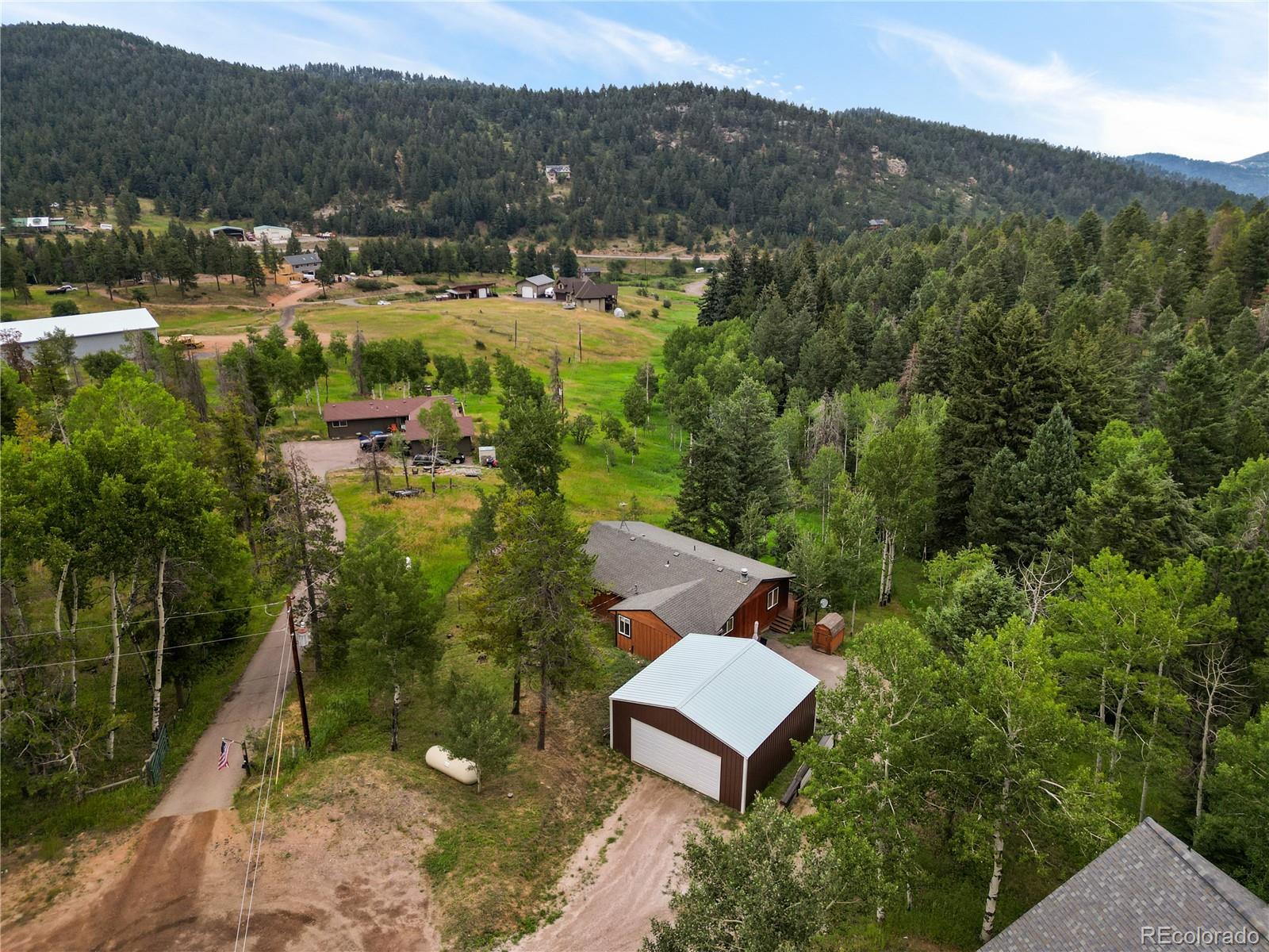 conifer  House Search Picture