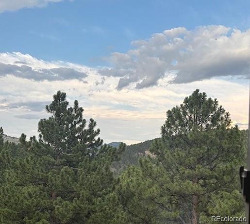evergreen  House Search Picture