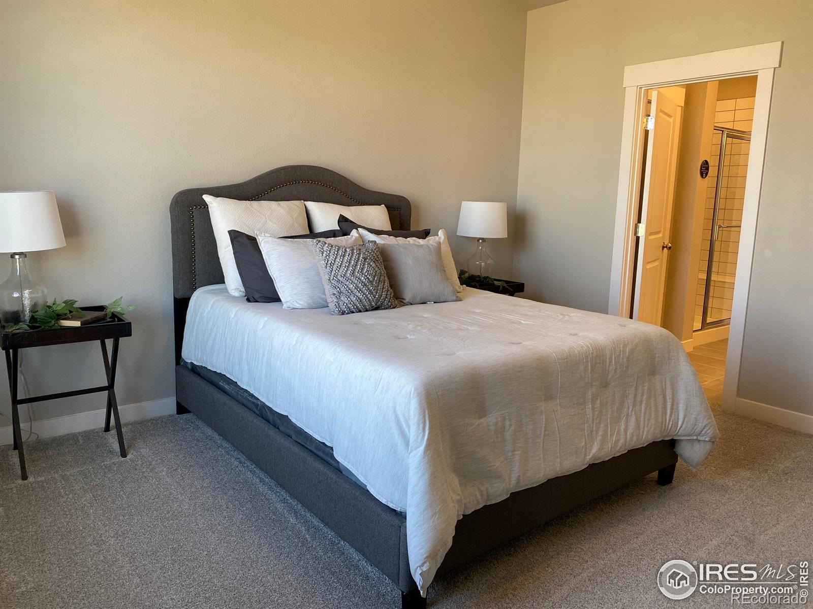 4110 S Park Drive, loveland  House Search MLS Picture