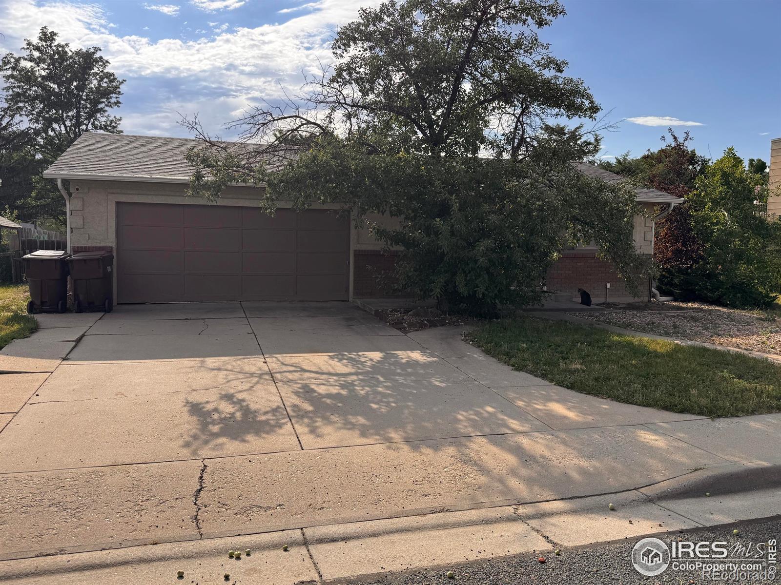5601  Meyers Drive, loveland  House Search MLS Picture