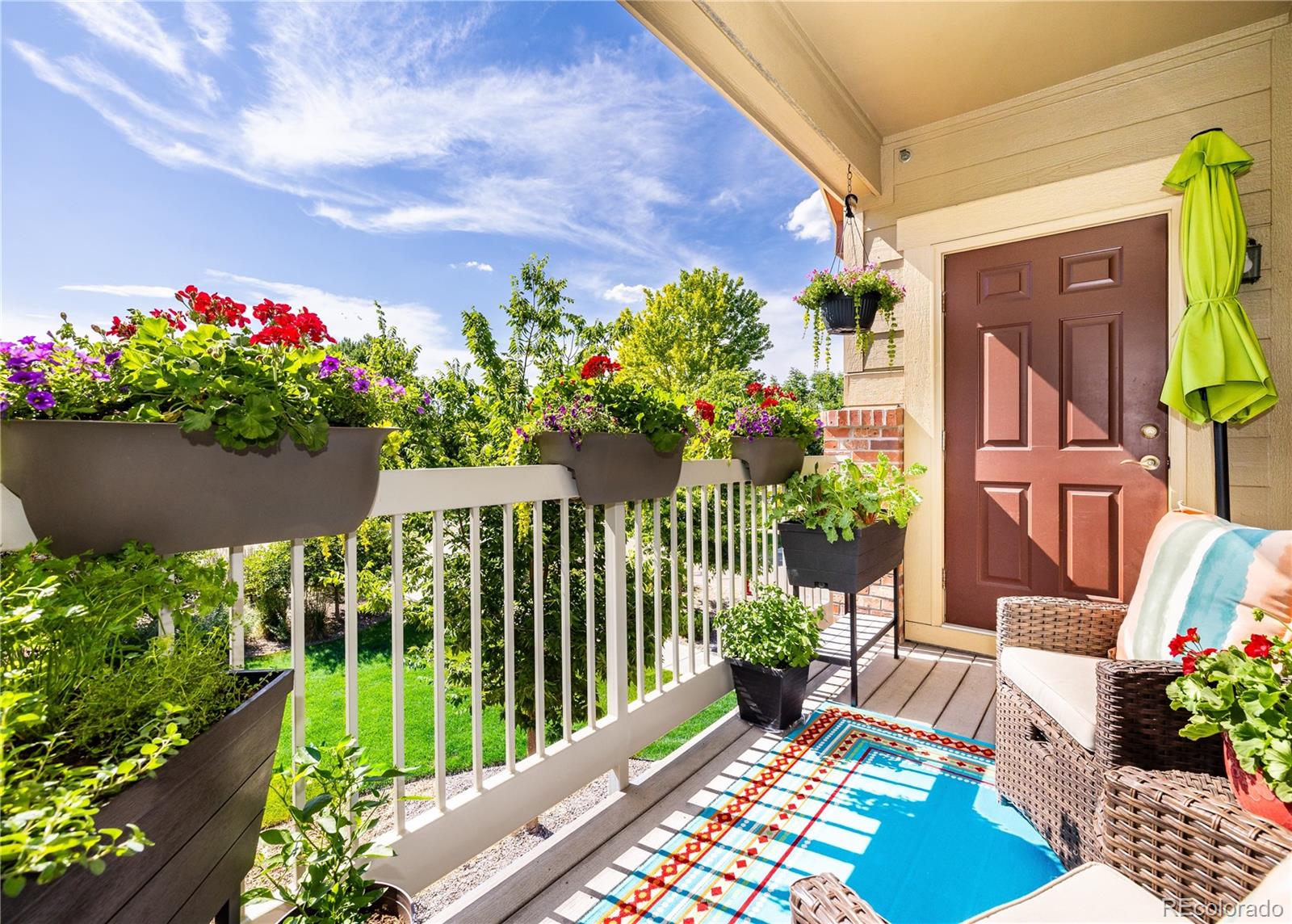 804  Summer Hawk Drive, longmont  House Search MLS Picture