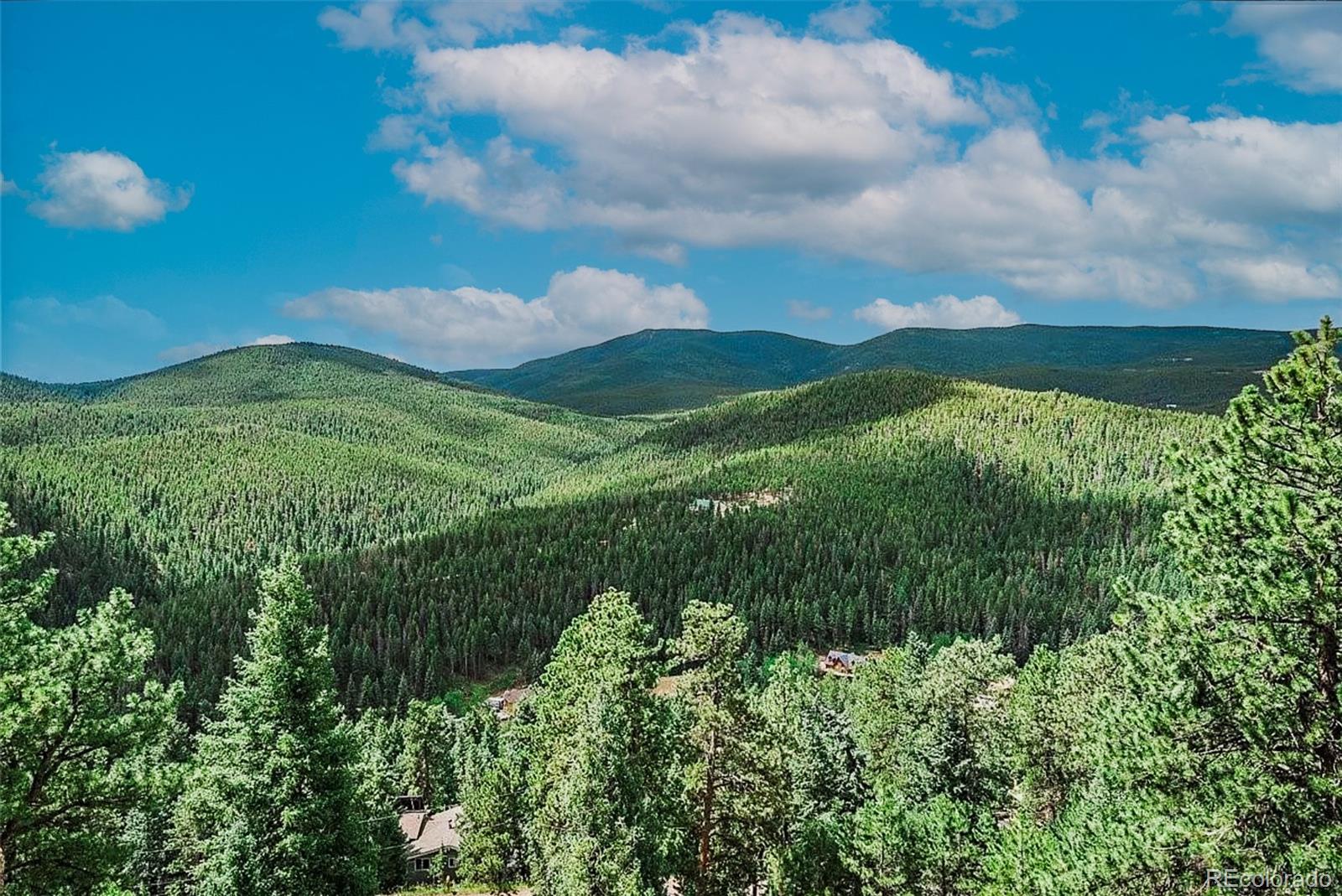 32482  Lodgepole Drive, evergreen  House Search MLS Picture