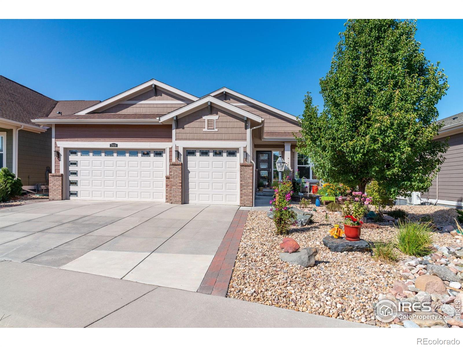 thornton  House Search Picture