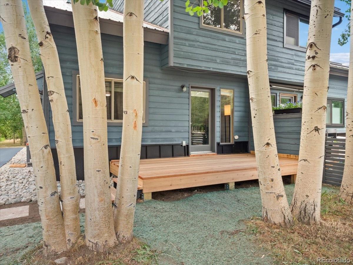 613  Belford Street, frisco  House Search MLS Picture