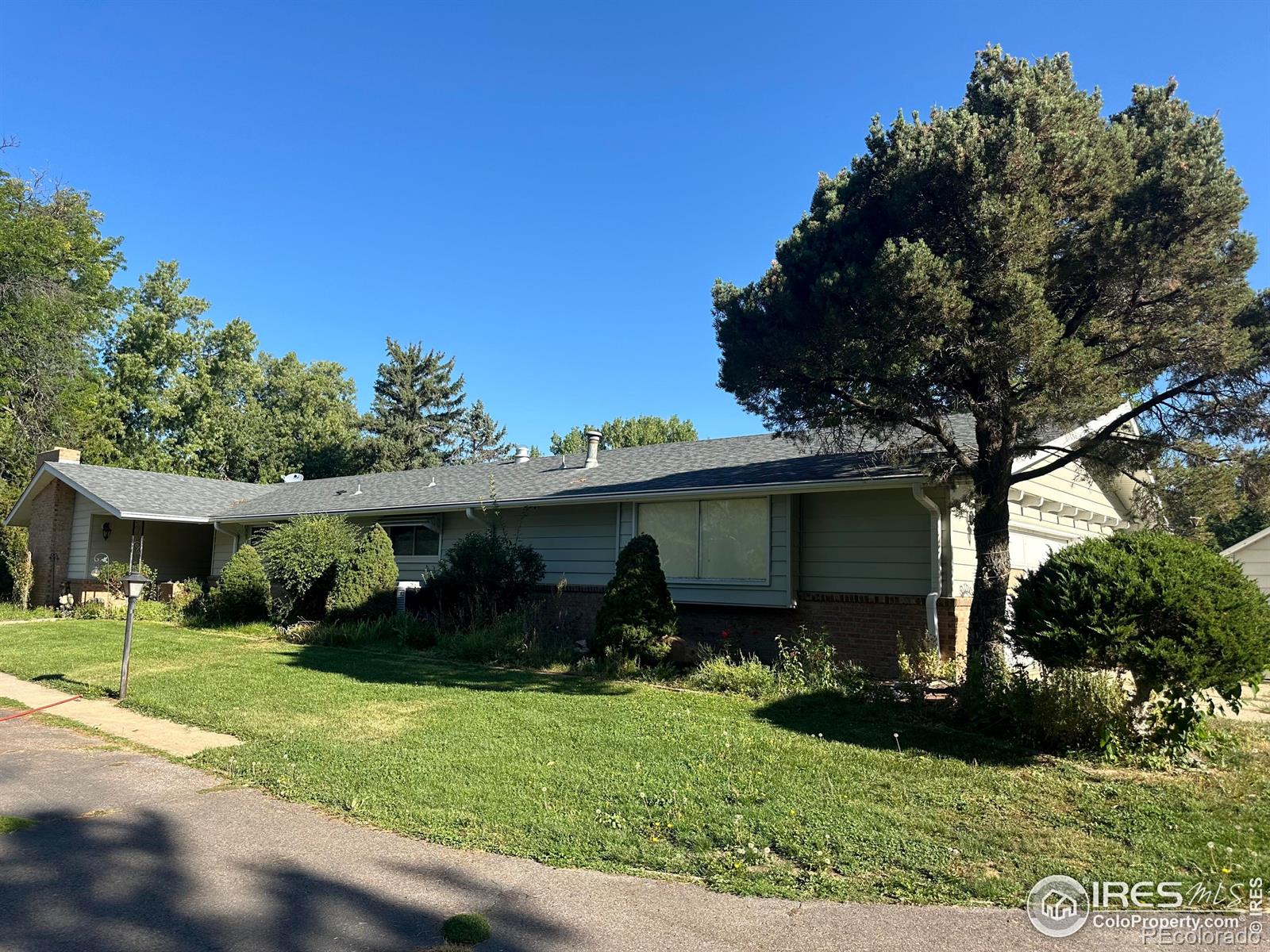 longmont  House Search Picture