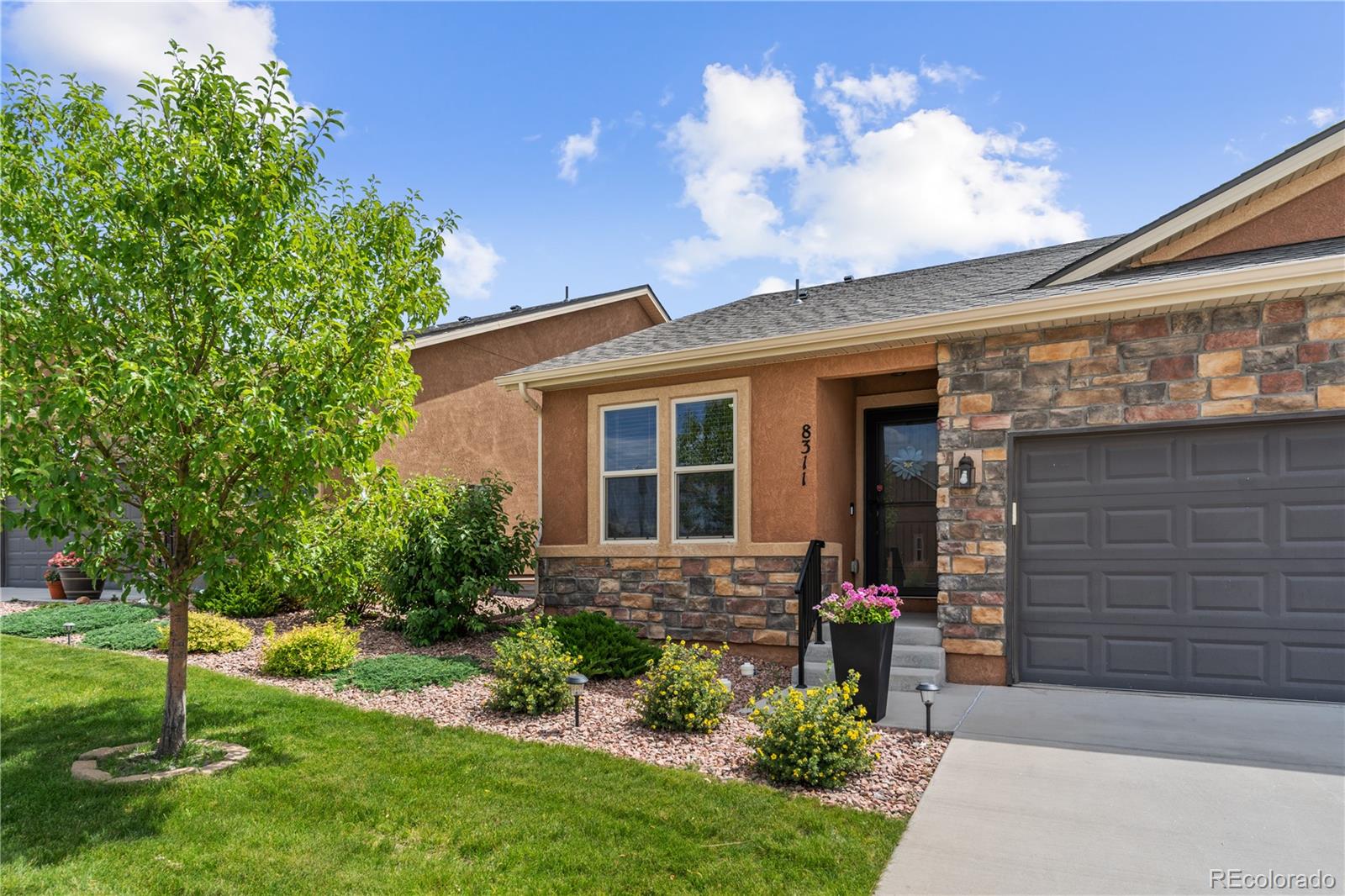 colorado springs  House Search Picture