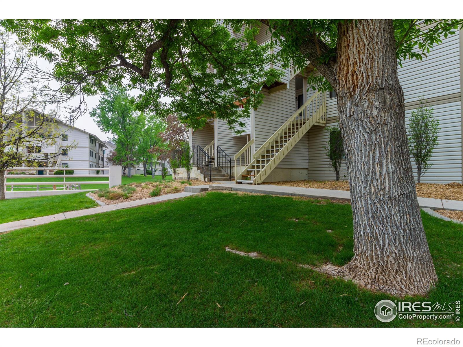 1705  Heatheridge Road, fort collins  House Search MLS Picture