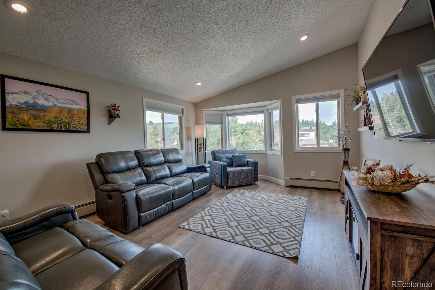 silverthorne  House Search Picture