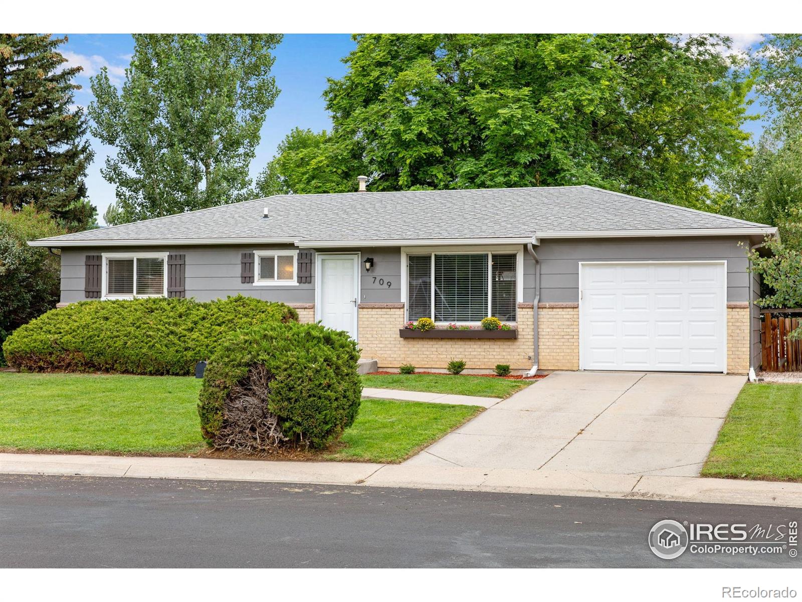 fort collins  House Search Picture