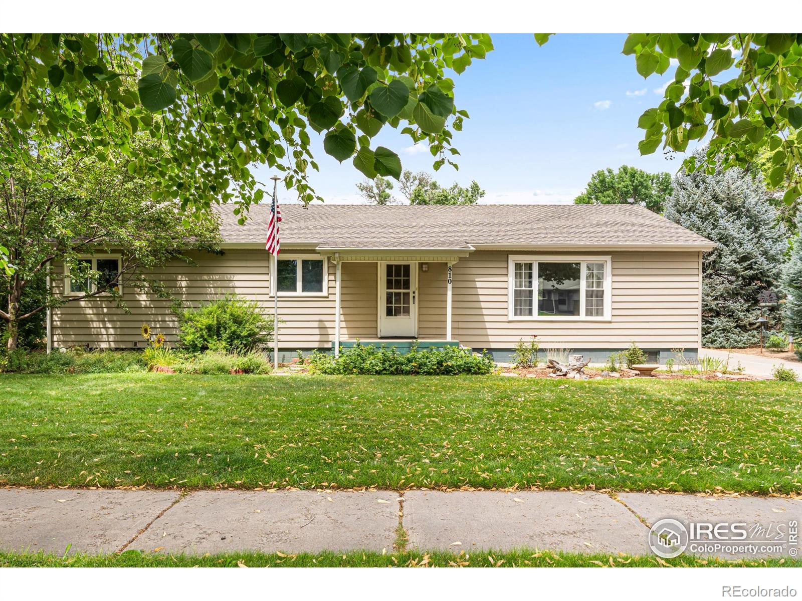windsor  House Search Picture