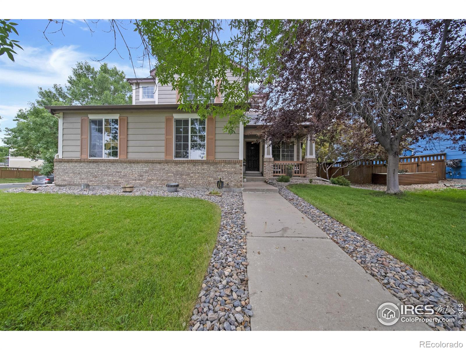 brighton  House Search Picture