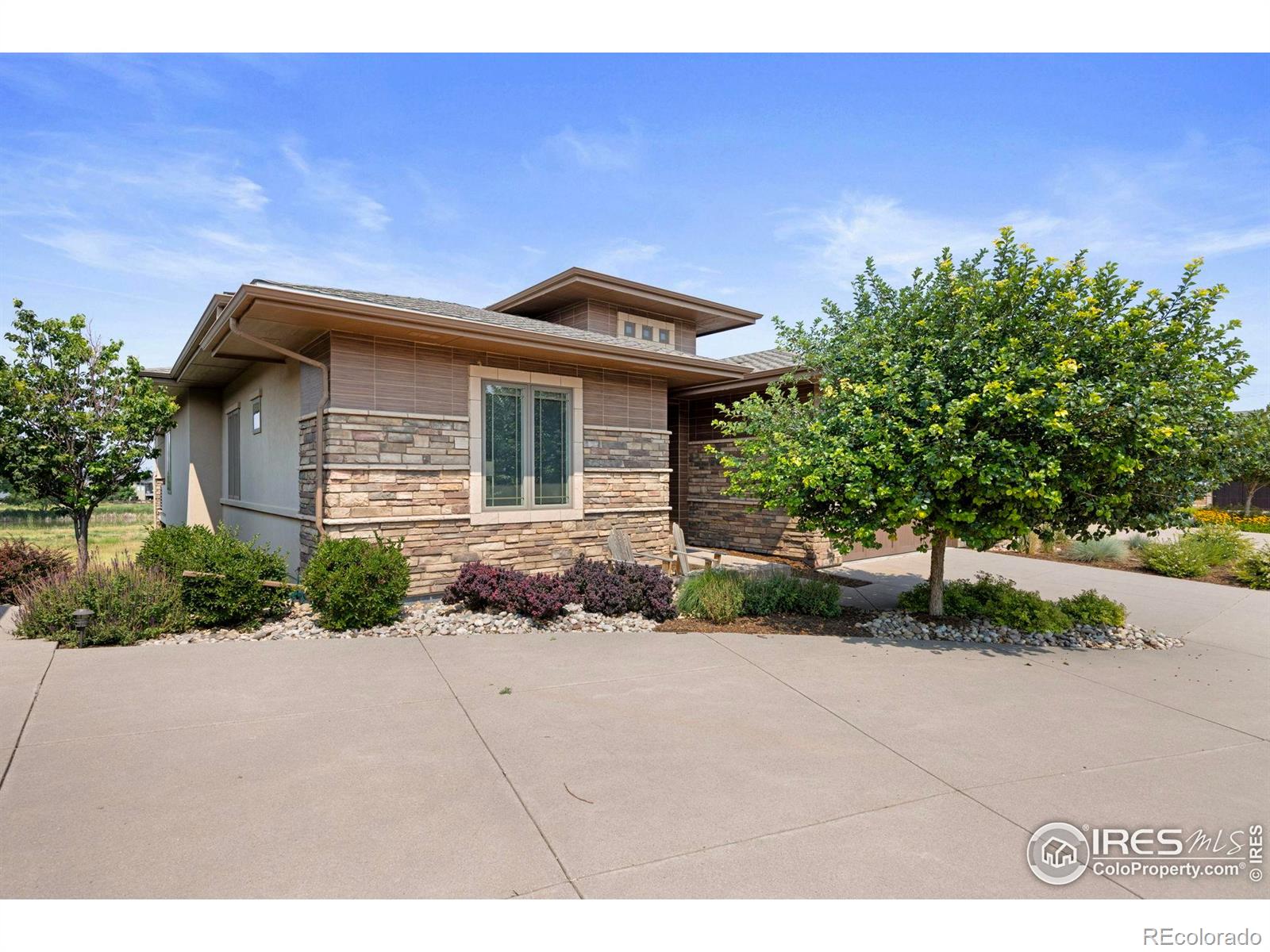 6903  White Snow Court, timnath  House Search MLS Picture