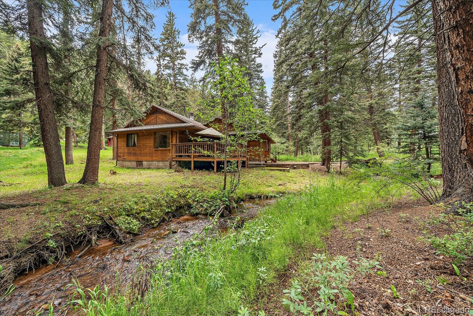 conifer  House Search Picture