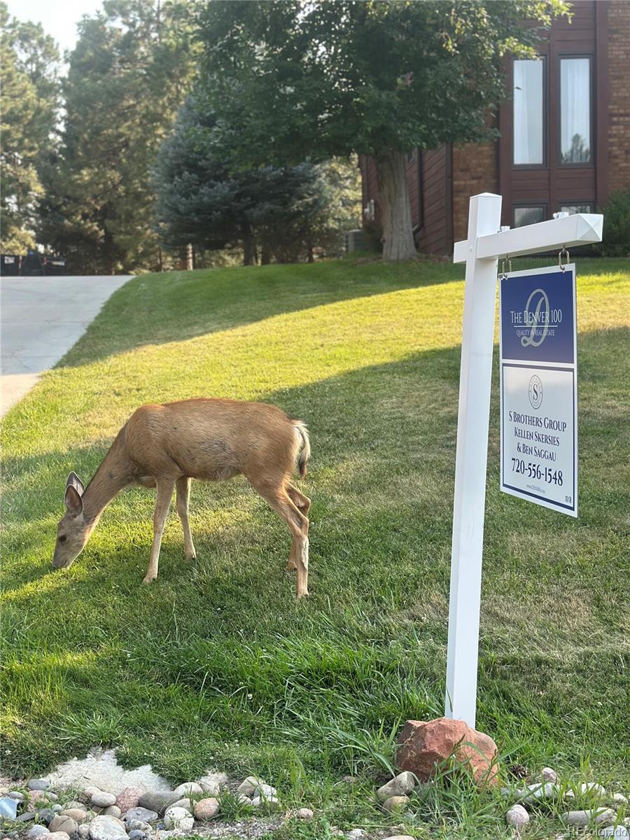 parker  House Search Picture