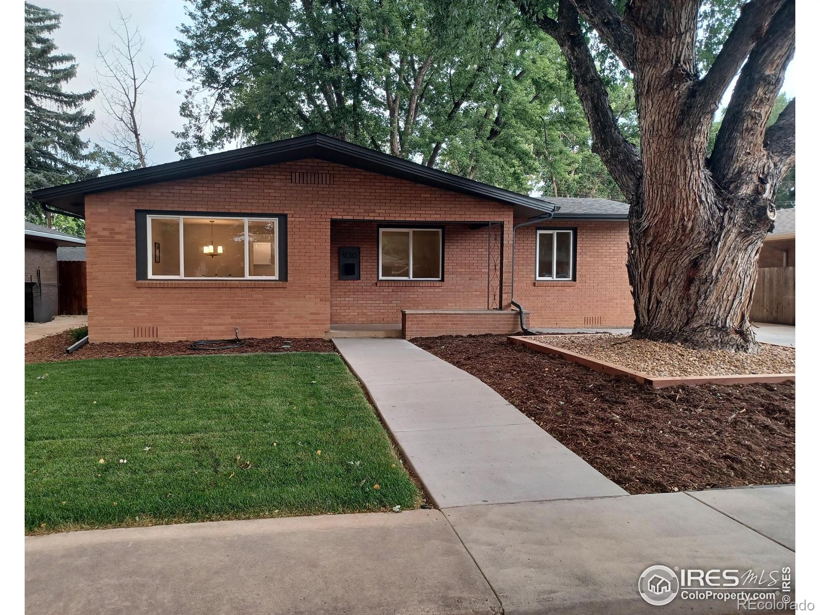 longmont  House Search Picture