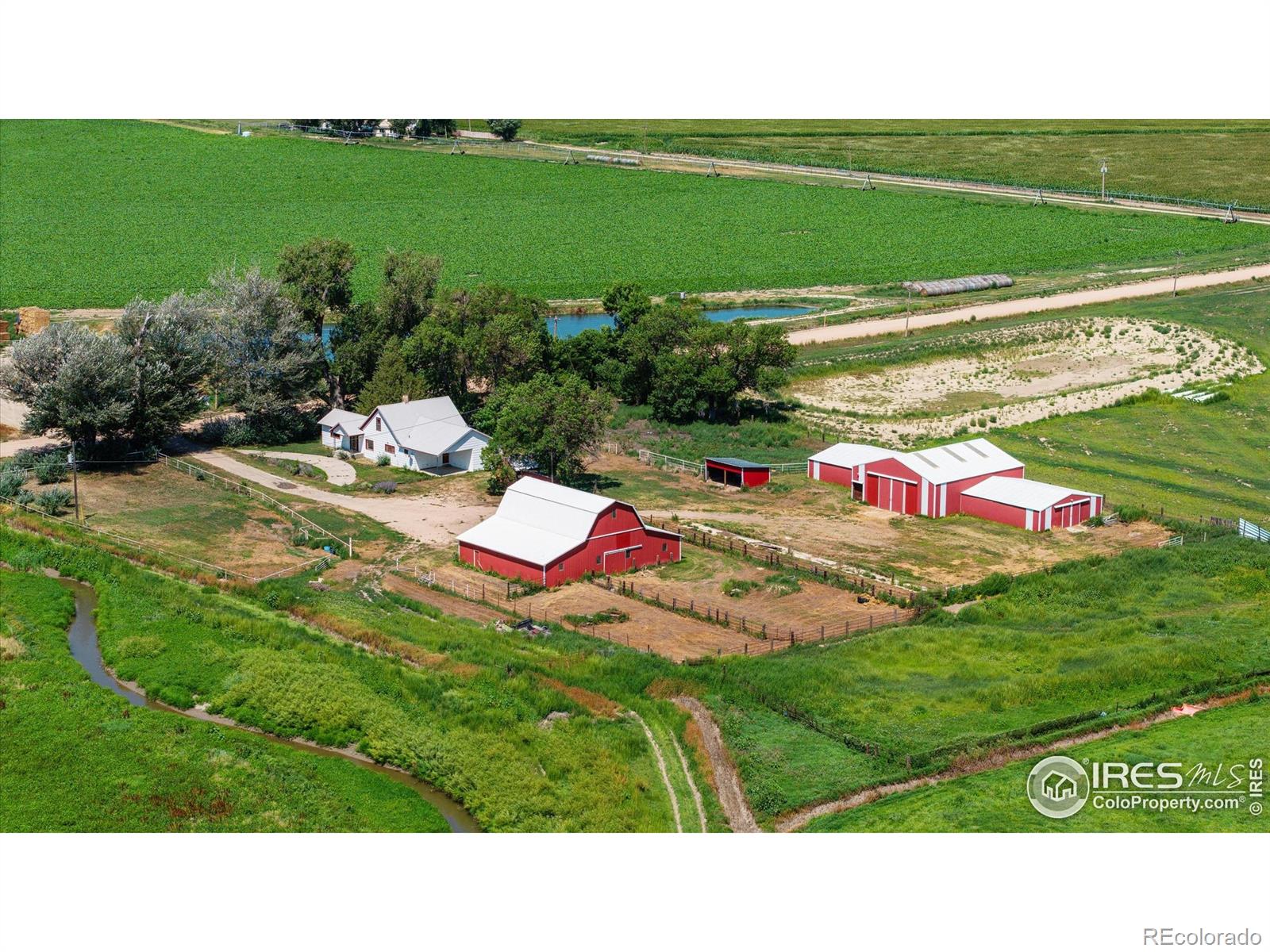 brush  House Search Picture