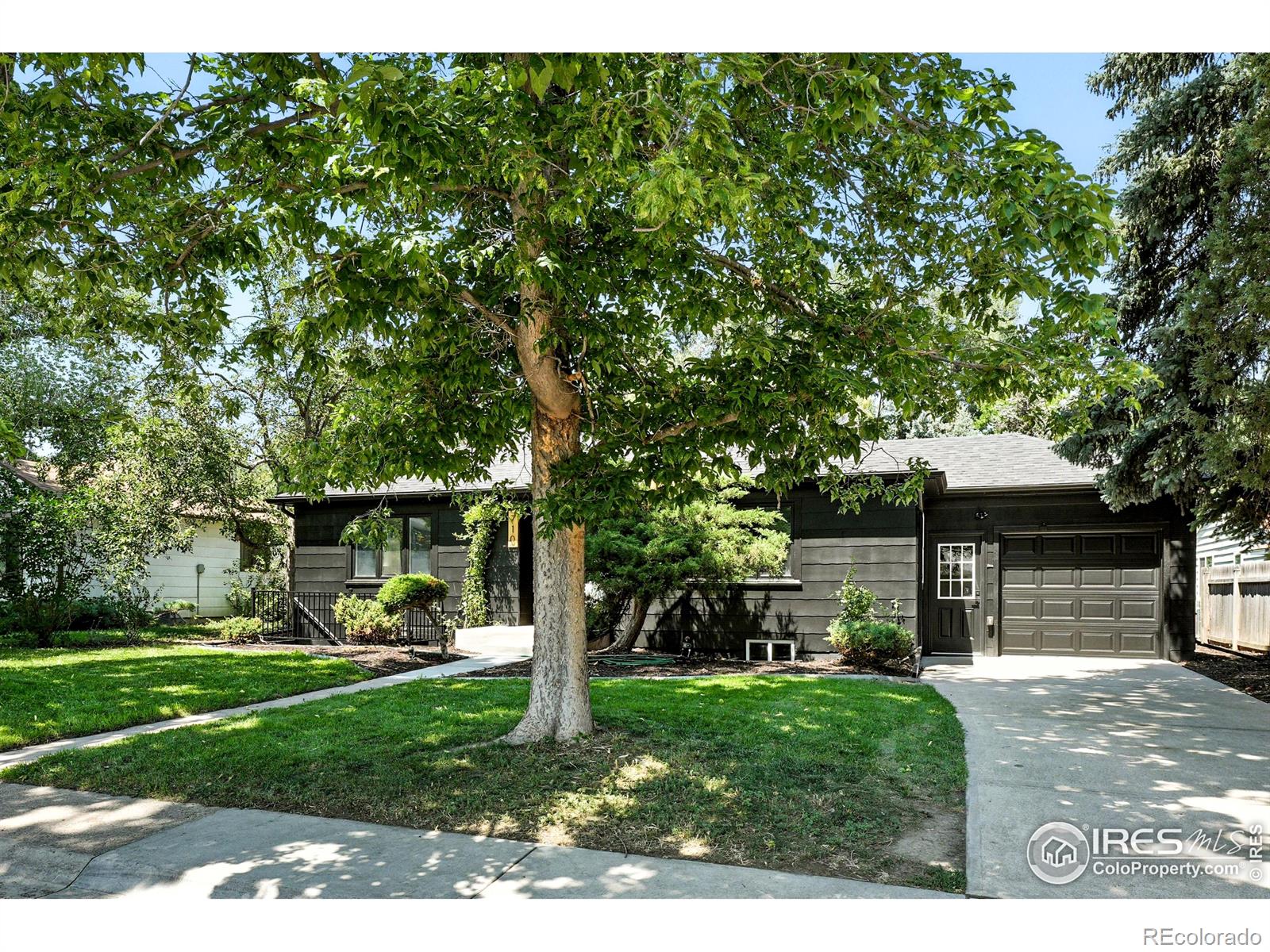 fort collins  House Search Picture