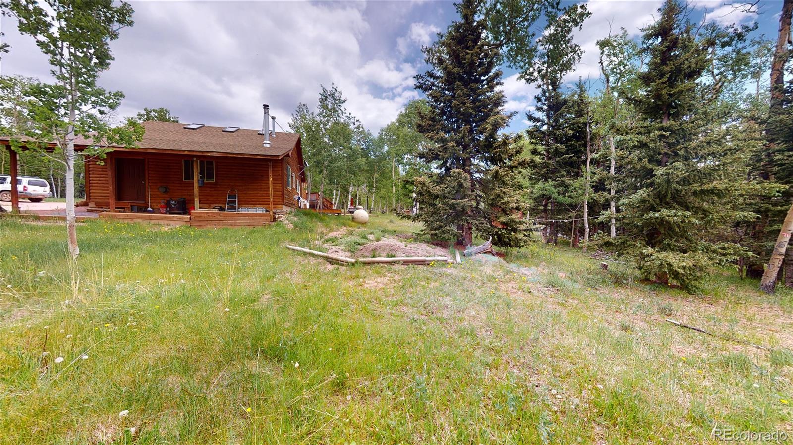 1011  Castle Ridge View, cripple creek&nbsp; House Search MLS Picture