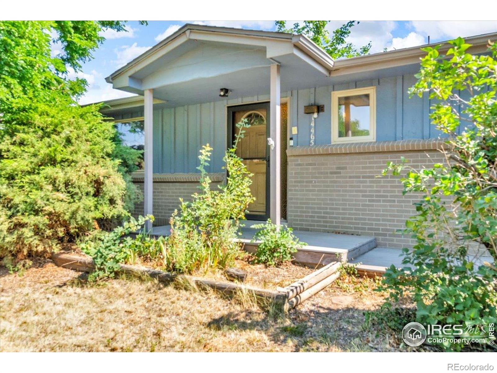 golden  House Search Picture