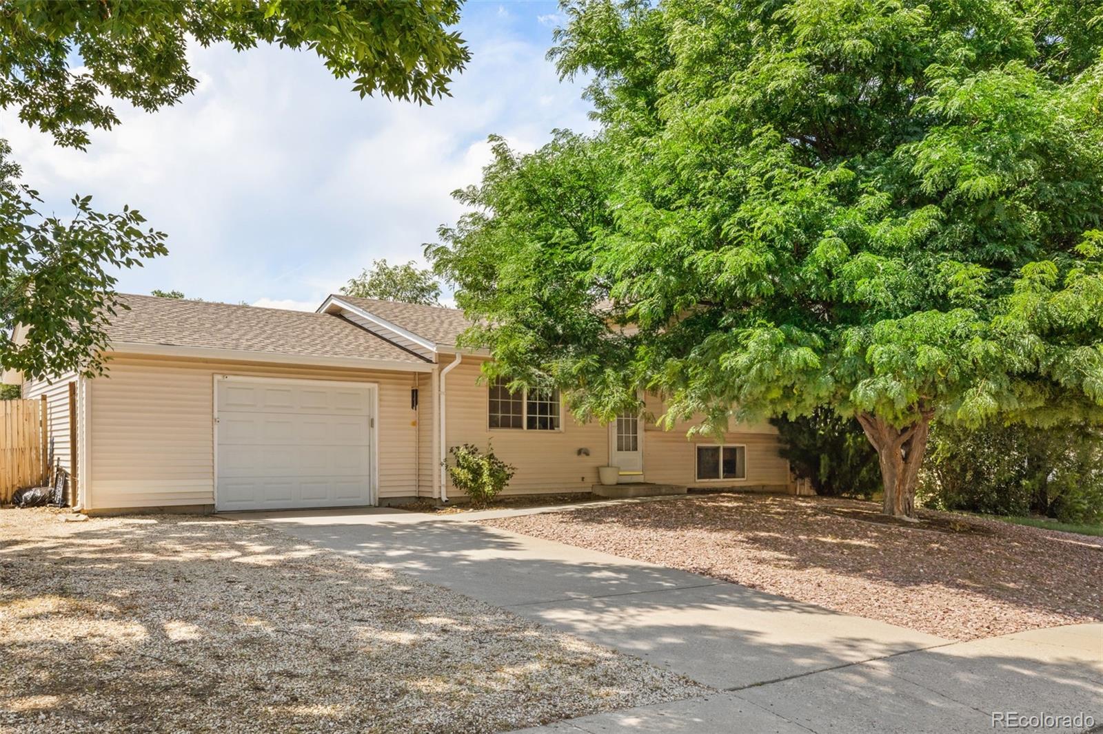 colorado springs  House Search Picture