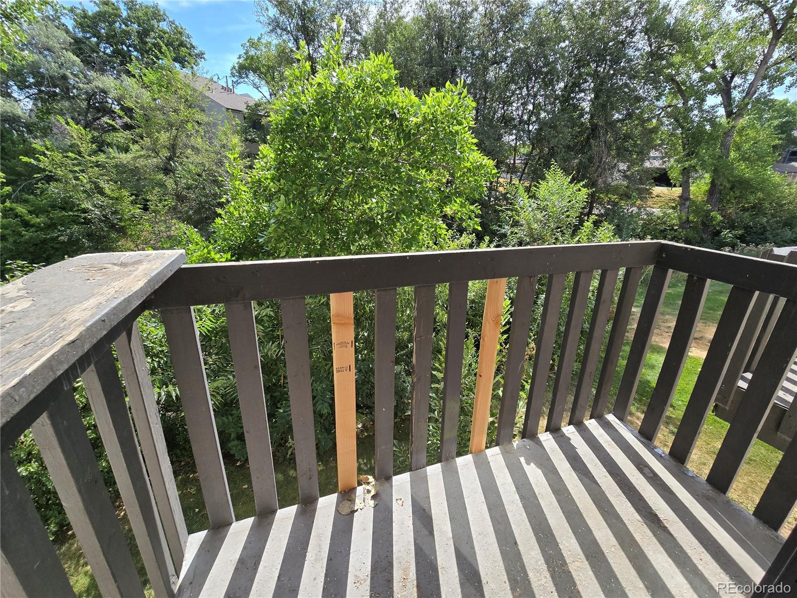 denver  House Search Picture