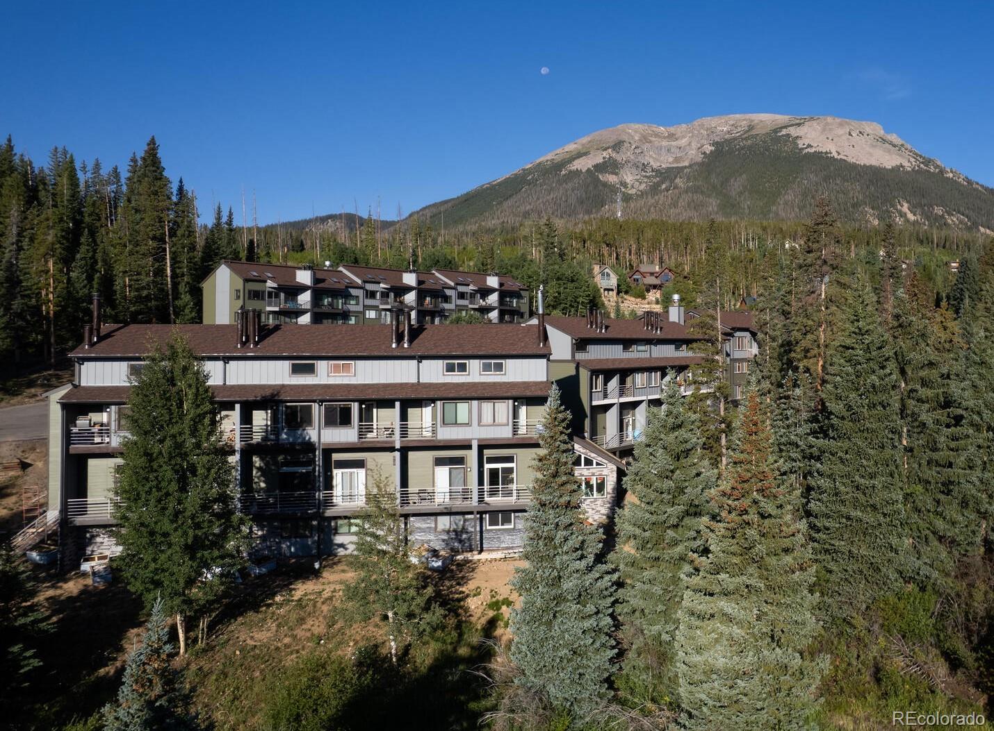 silverthorne  House Search Picture