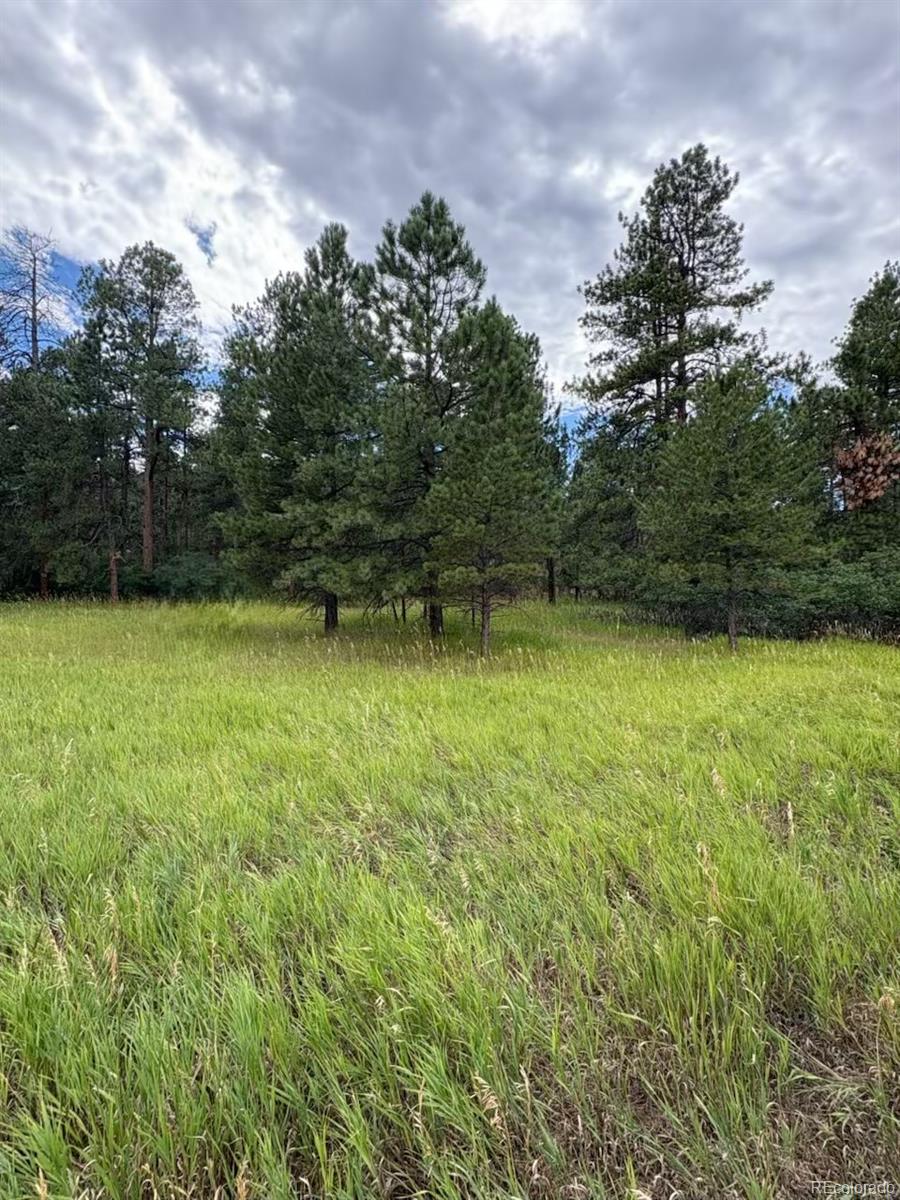Perry Park Larkspur Home | MLS #: 71916685028  Crow Drive, Larkspur Beds: 4 Baths: 4 Price: $1,068,000