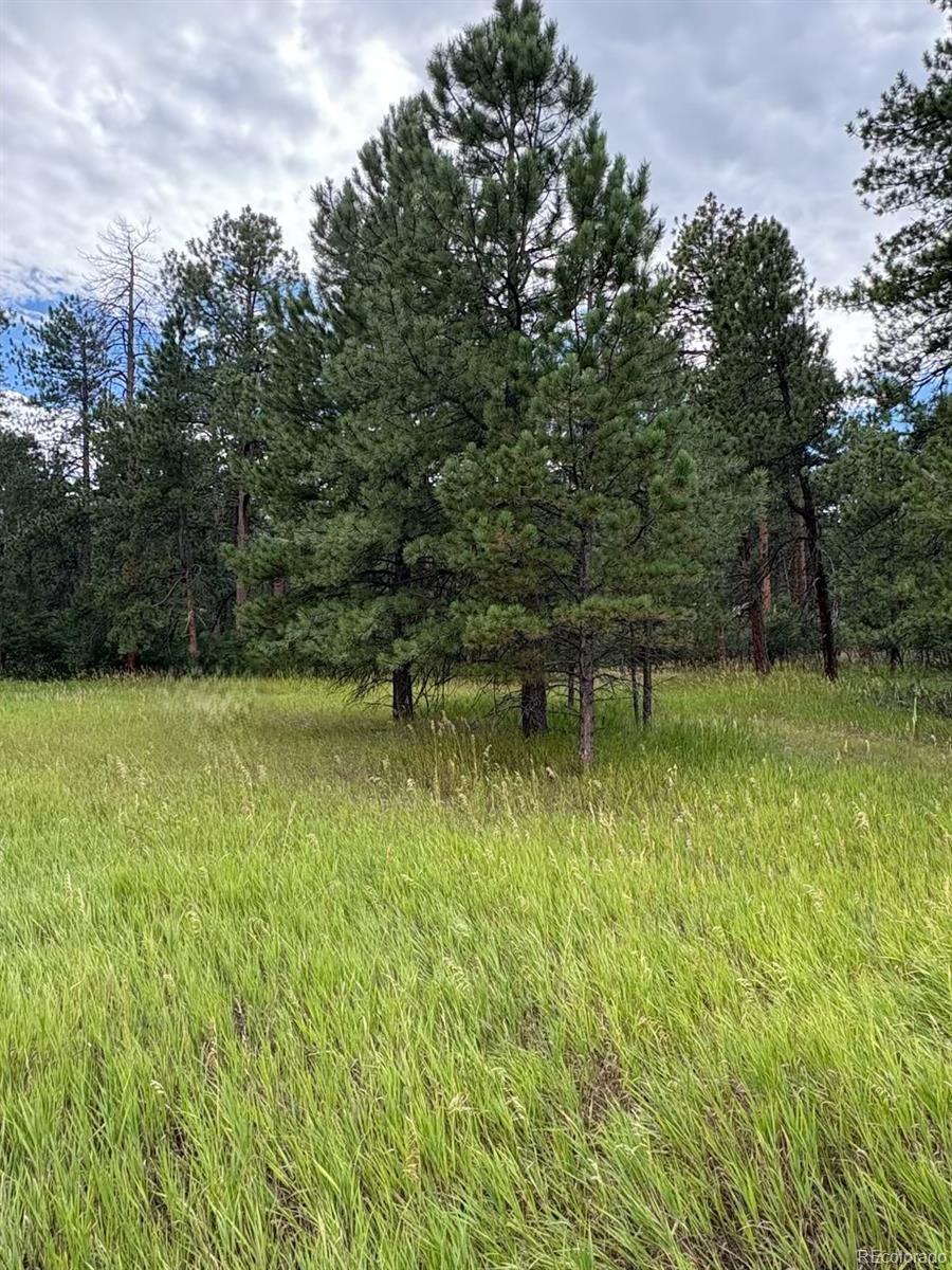 5028  Crow Drive, larkspur&nbsp; House Search MLS Picture