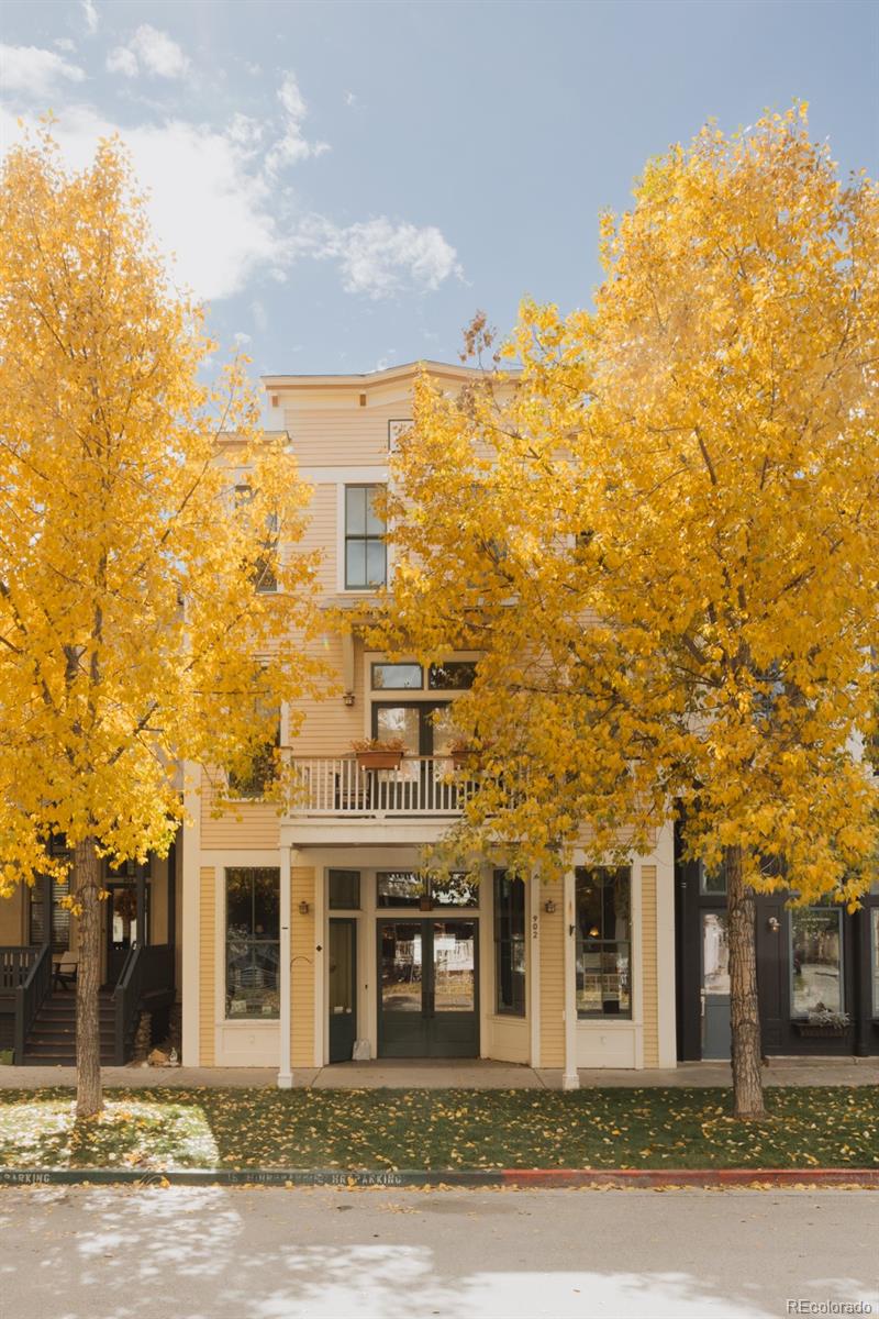 902 S Main St , buena vista&nbsp; House Search MLS Picture