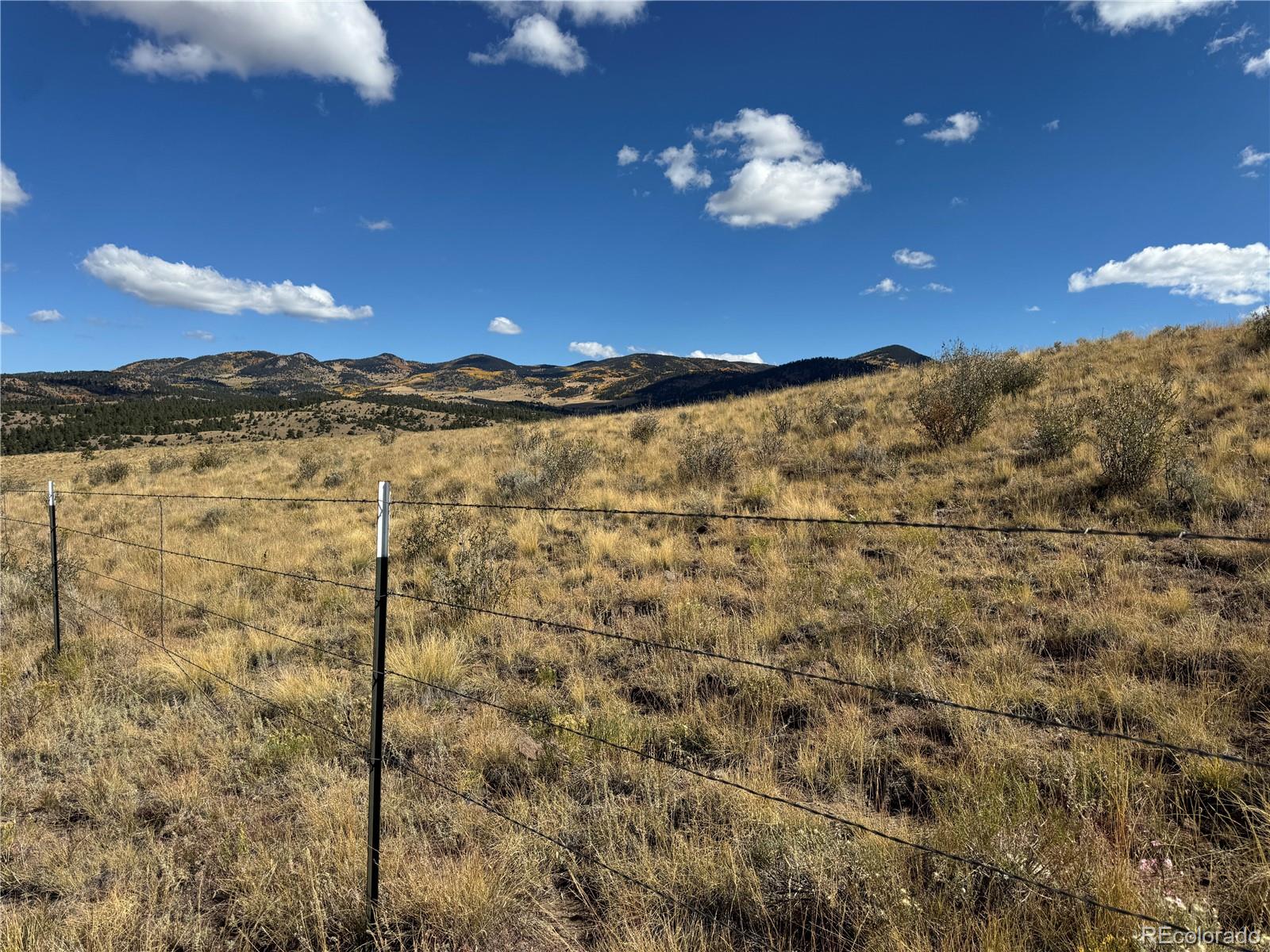 2347  Music Mountain Drive, westcliffe&nbsp; House Search MLS Picture