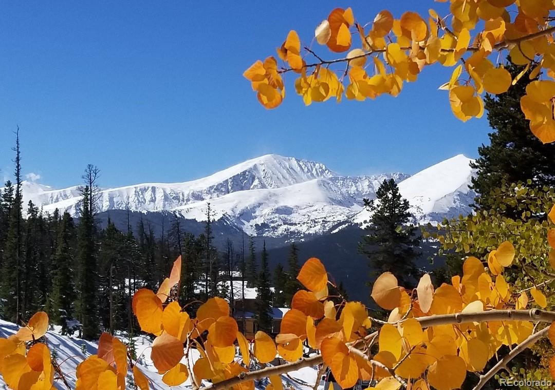  Breckenridge Condo / Townhome | MLS #: 3933799305 S Park #402 Avenue 402, Breckenridge Beds: 0 Baths: 0 Price: $1,095,000