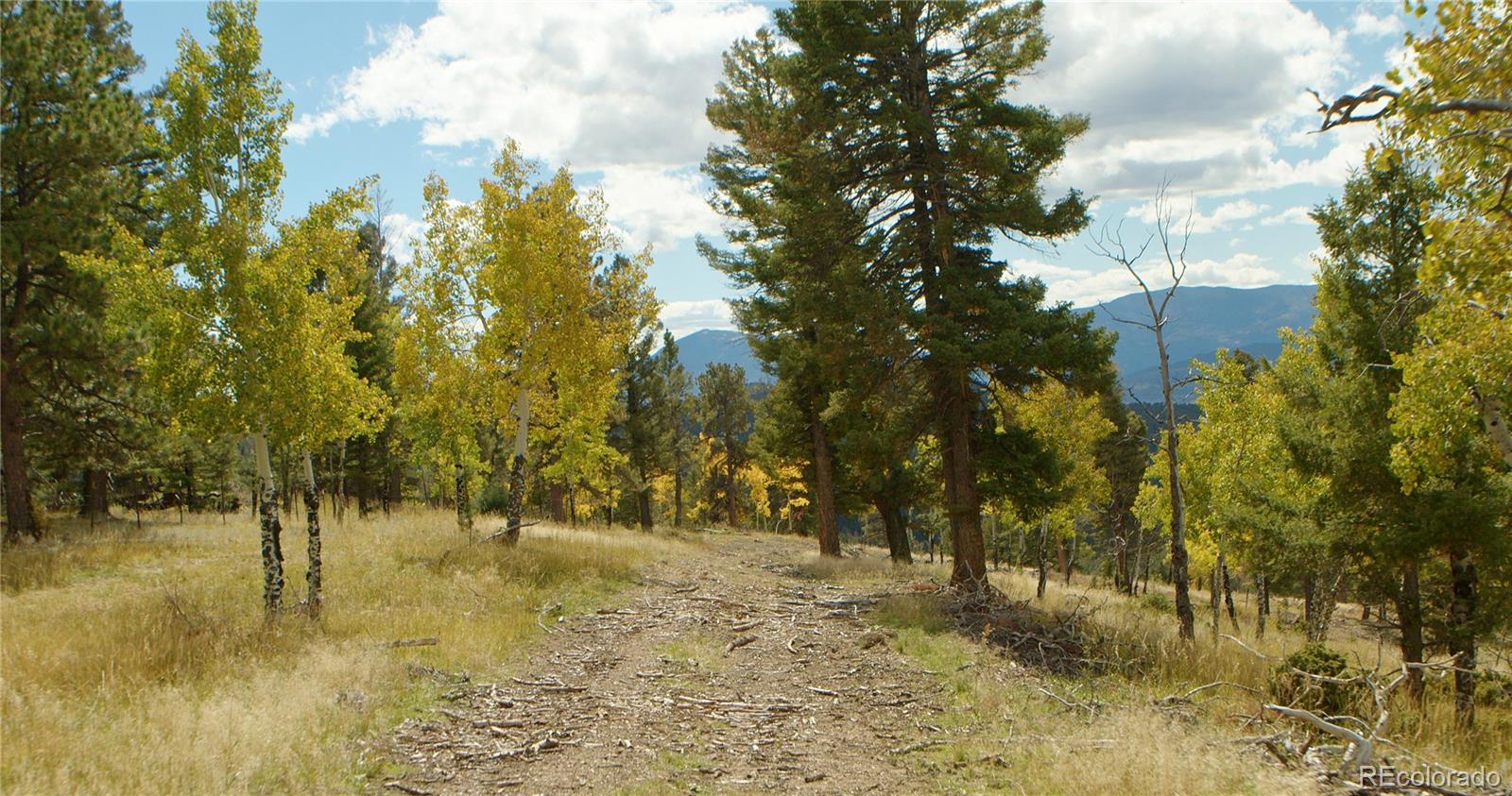 12434 S US Hwy 285 , conifer&nbsp; House Search MLS Picture