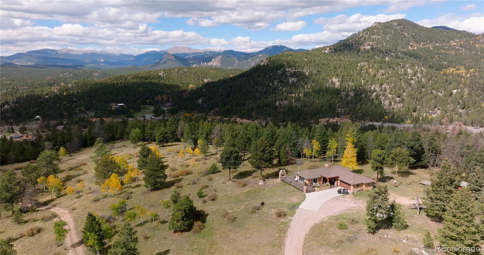 conifer&nbsp; House Search Picture