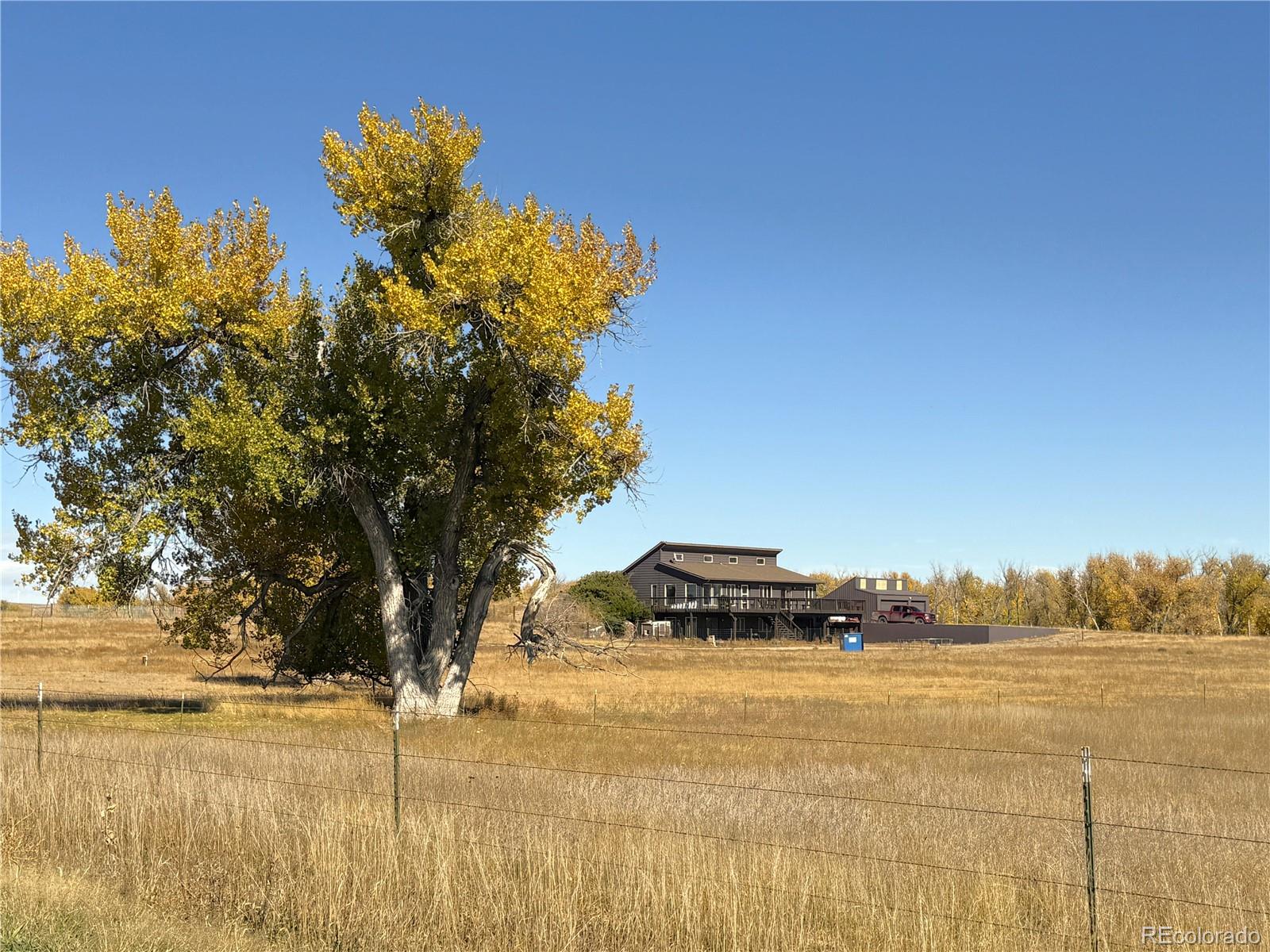 limon&nbsp; House Search Picture
