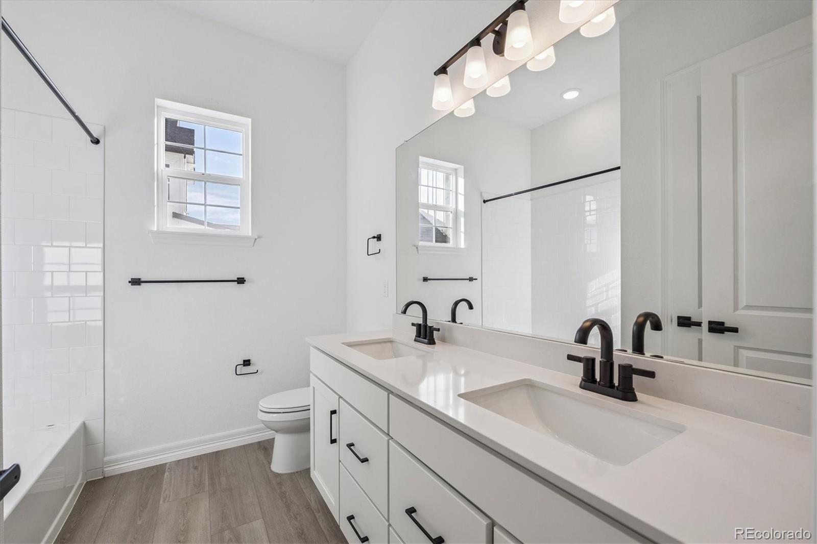 1180  Weller Street, timnath&nbsp; House Search MLS Picture