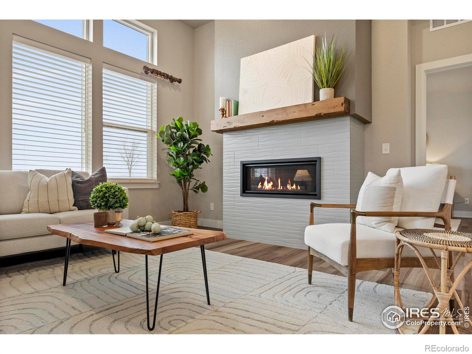 6752  Castello Street, timnath&nbsp; House Search MLS Picture
