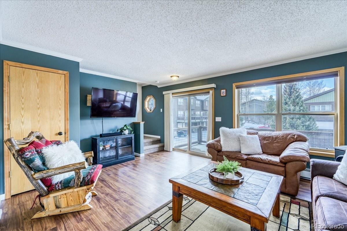 746 W Anemone Trail, dillon&nbsp; House Search MLS Picture