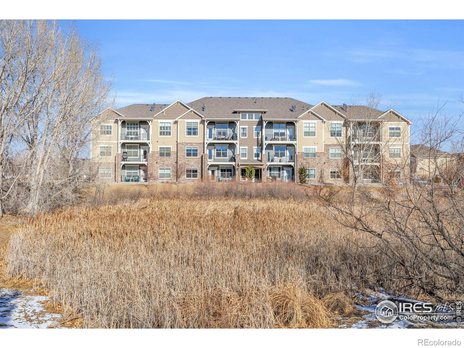 4612  Hahns Peak Drive, loveland&nbsp; House Search MLS Picture