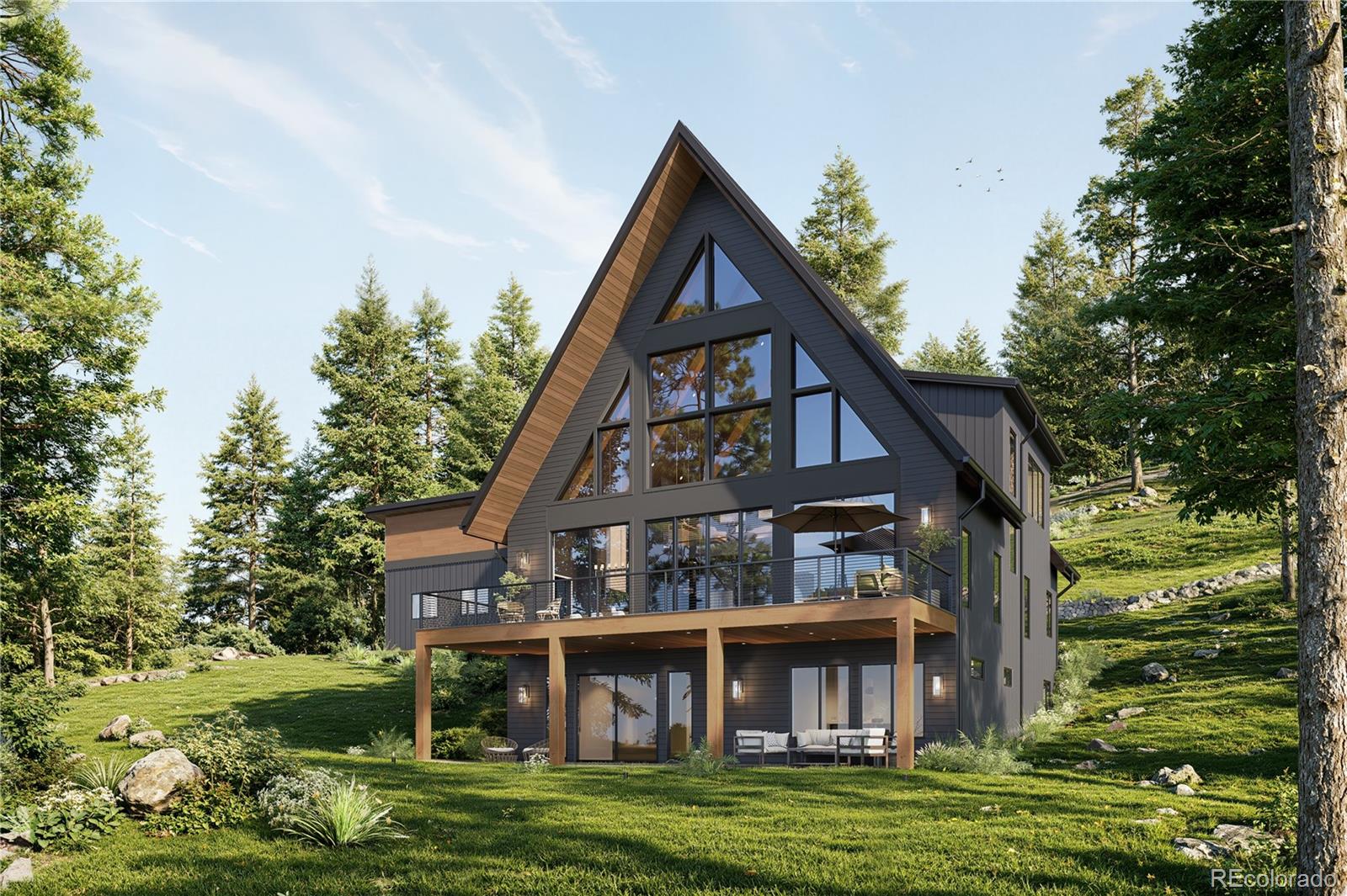 conifer&nbsp; House Search Picture