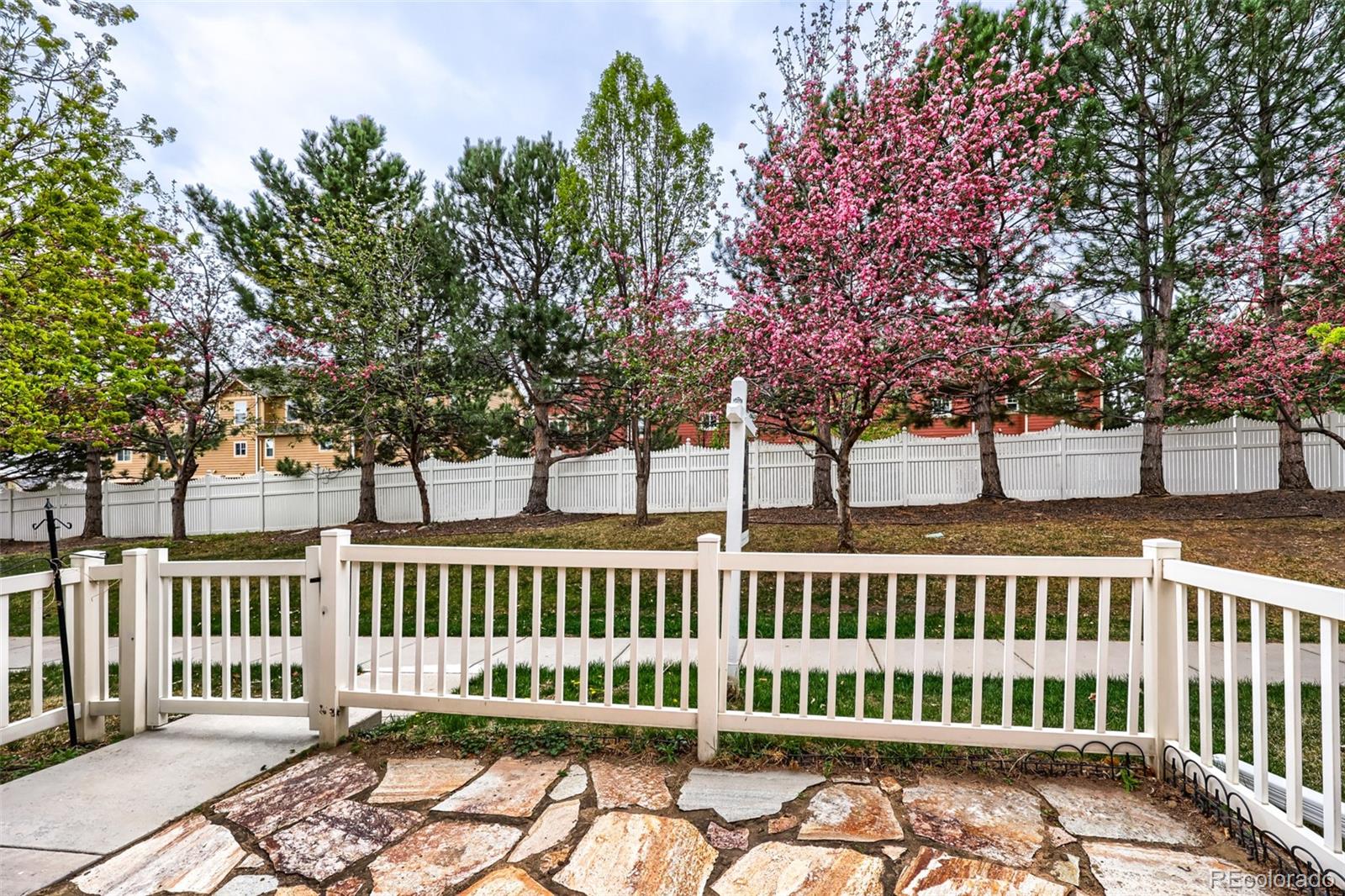 1538  Bennet Mountain Road, castle rock&nbsp; House Search MLS Picture