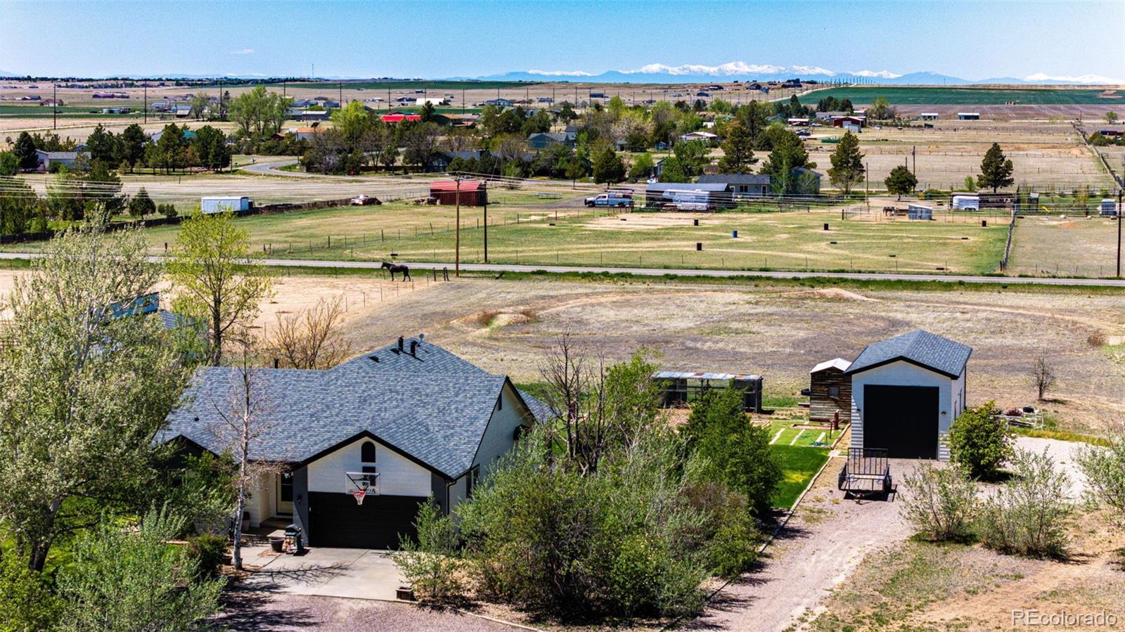 strasburg&nbsp; Horse Properties Search Picture