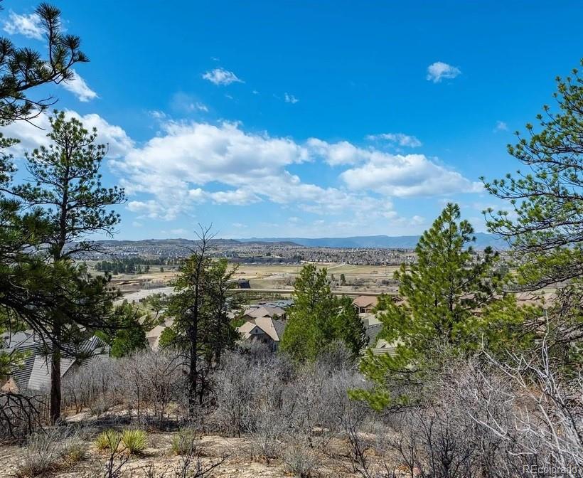 655  Ruby Trust Drive, castle rock&nbsp; House Search MLS Picture