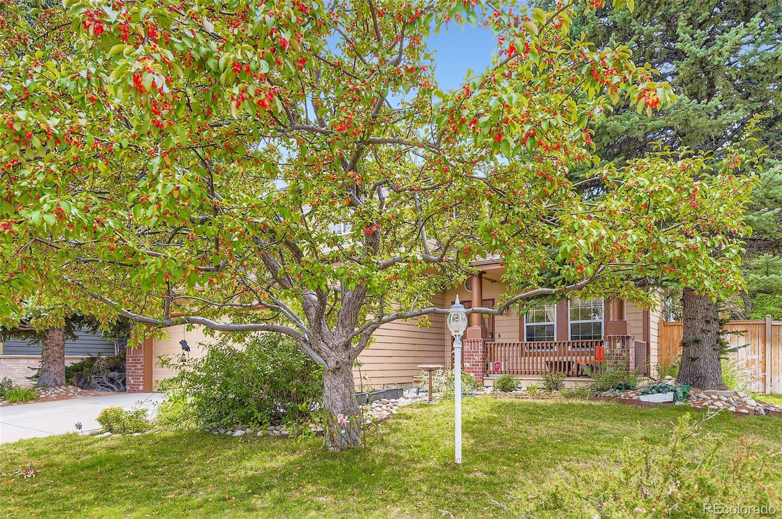 15904  Stonebriar Drive, parker&nbsp; House Search MLS Picture