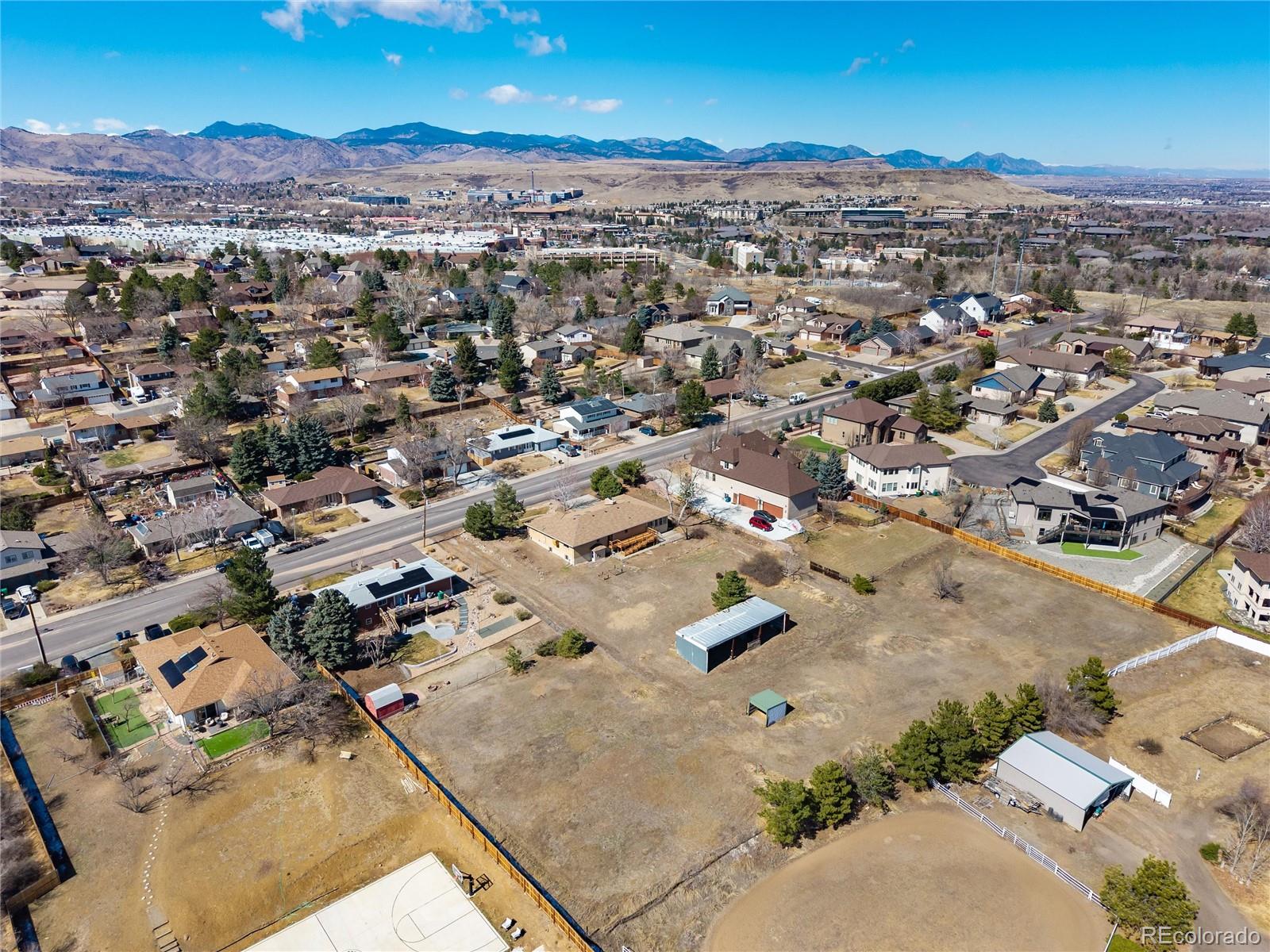golden&nbsp; Horse Properties Search Picture