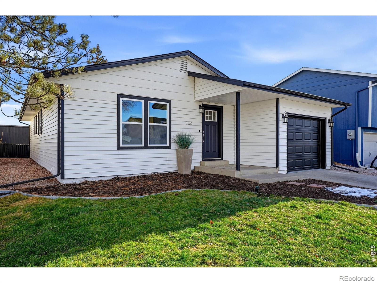 8120  Mummy Range Drive, fort collins&nbsp; House Search MLS Picture