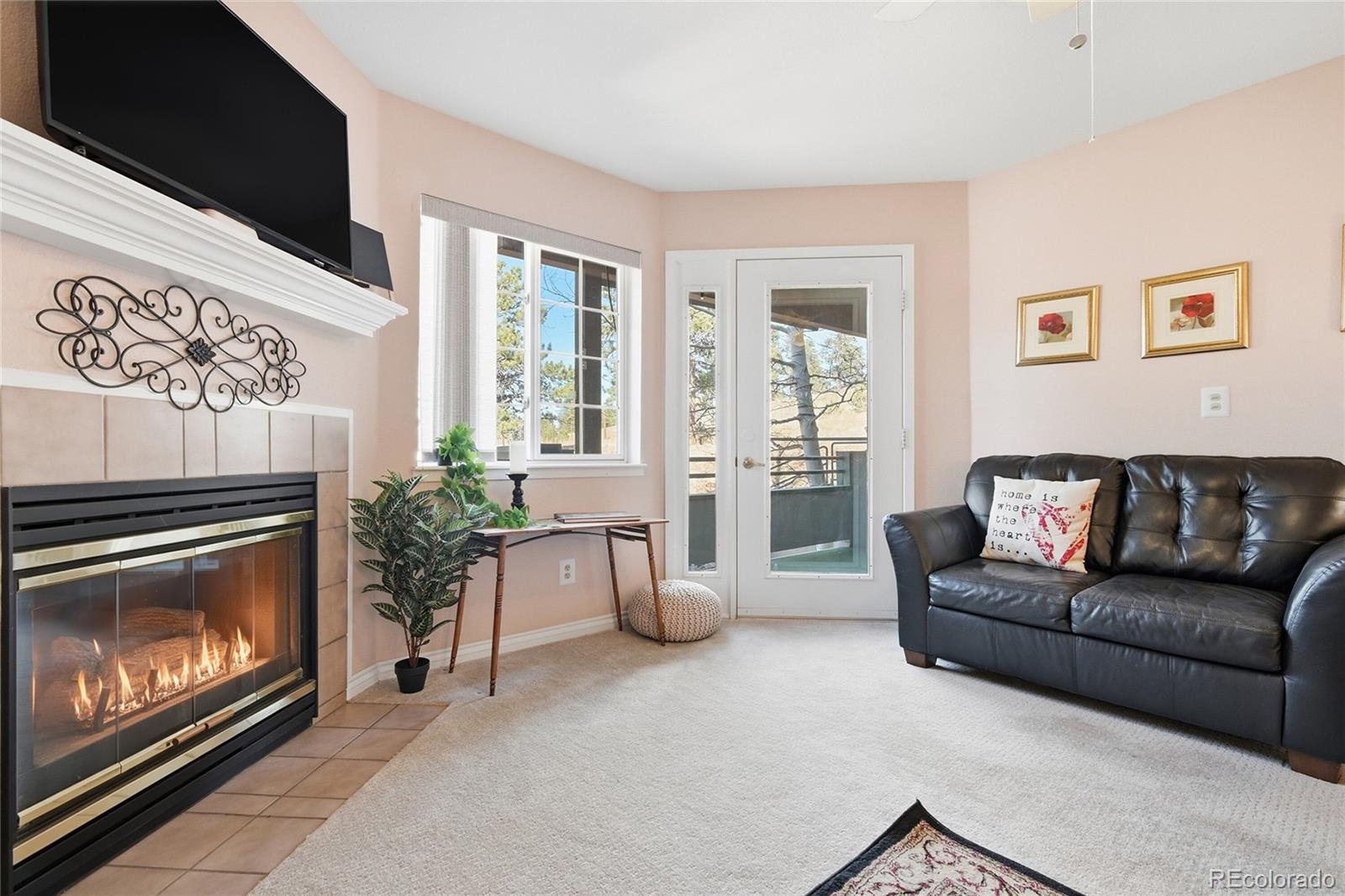 31819  Rocky Village Drive, evergreen&nbsp; House Search MLS Picture
